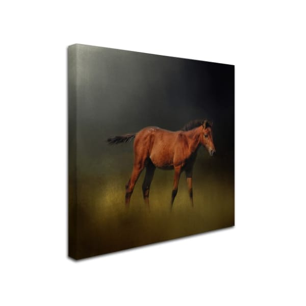 Jai Johnson 'Copper Colt In The Moon Light' Canvas Art,14x14